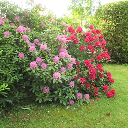 Le Cottage - Chambres D'Hotes Paris Saclay Bures-sur-Yvette 외부 사진
