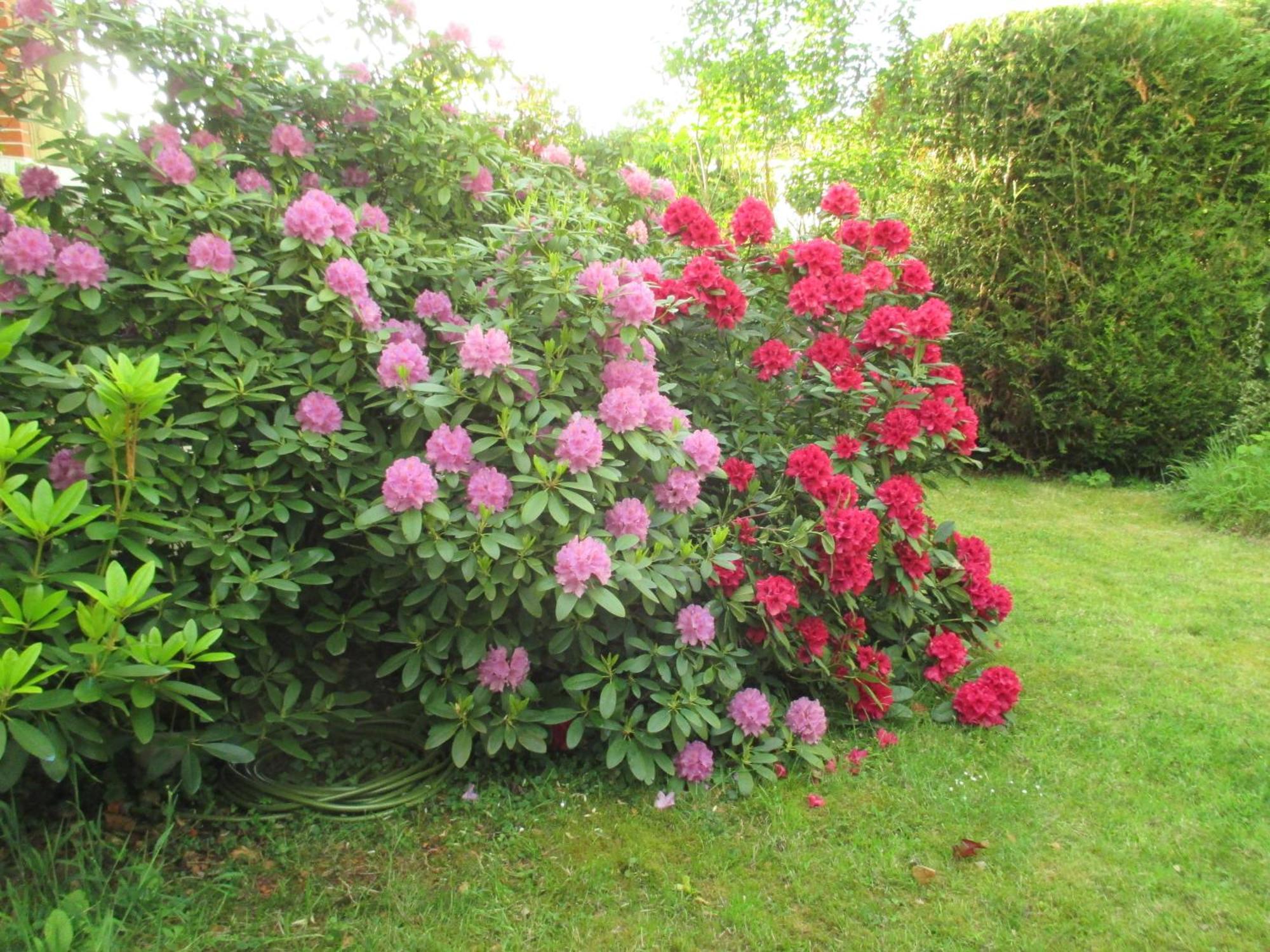 Le Cottage - Chambres D'Hotes Paris Saclay Bures-sur-Yvette 외부 사진
