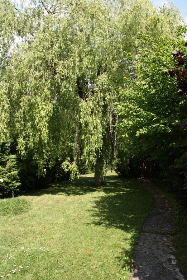 Le Cottage - Chambres D'Hotes Paris Saclay Bures-sur-Yvette 외부 사진
